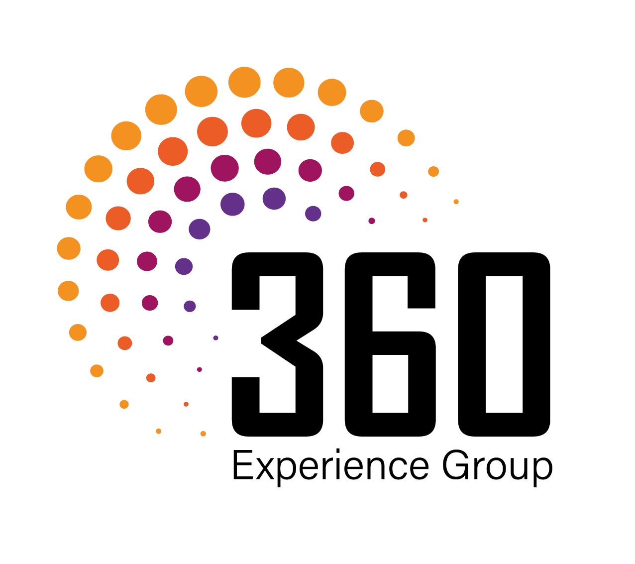 Logo 360 Experience Group